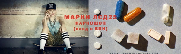 ГАЛЛЮЦИНОГЕННЫЕ ГРИБЫ Ельня