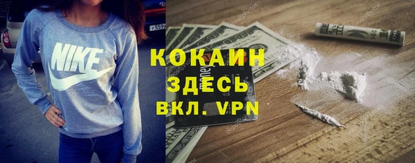 ГАЛЛЮЦИНОГЕННЫЕ ГРИБЫ Ельня