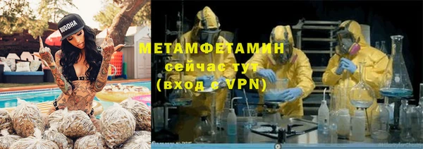 ГАЛЛЮЦИНОГЕННЫЕ ГРИБЫ Ельня