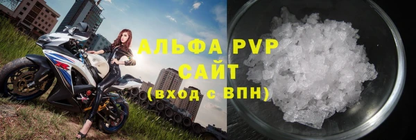 ГАЛЛЮЦИНОГЕННЫЕ ГРИБЫ Ельня