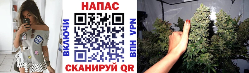 МАРИХУАНА план Купить где Саки